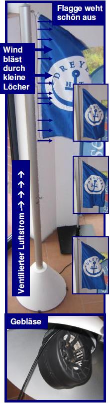 f-msv-rechts-1105